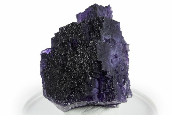 Dark Purple Fluorite Crystal Cluster - Cave-in-Rock, Illinois #347811
